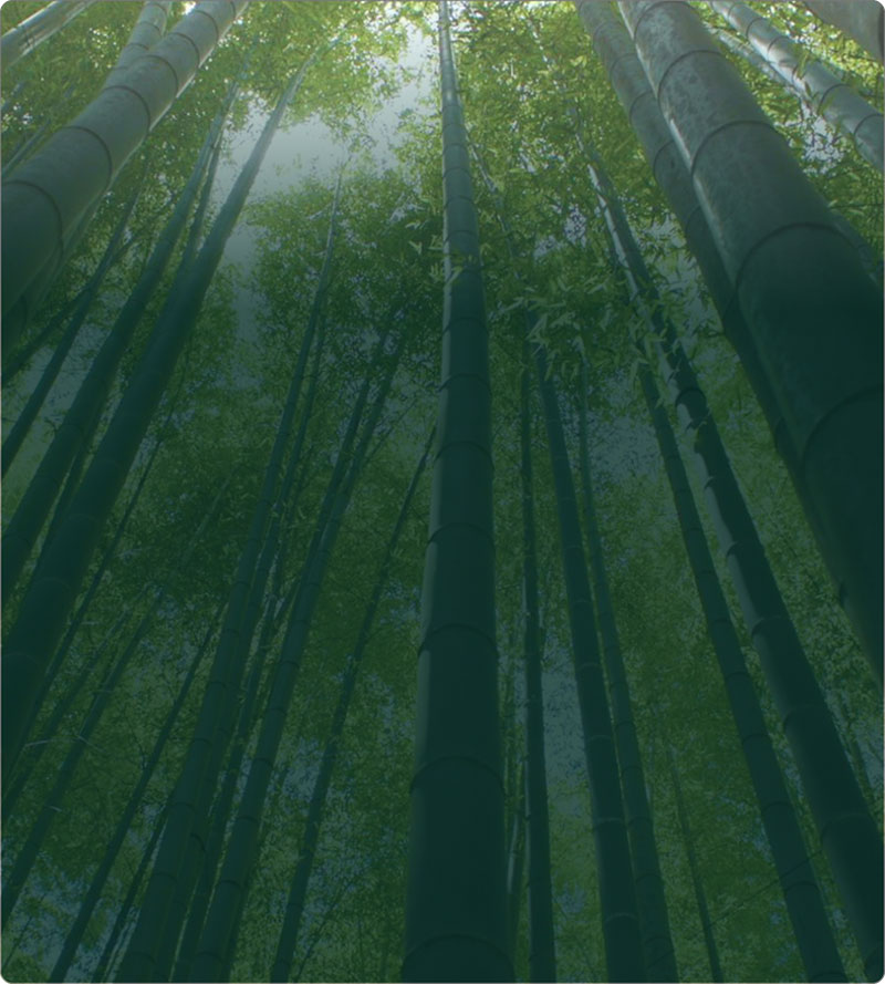 好博(中国)体育智能科技股份有限公司网站