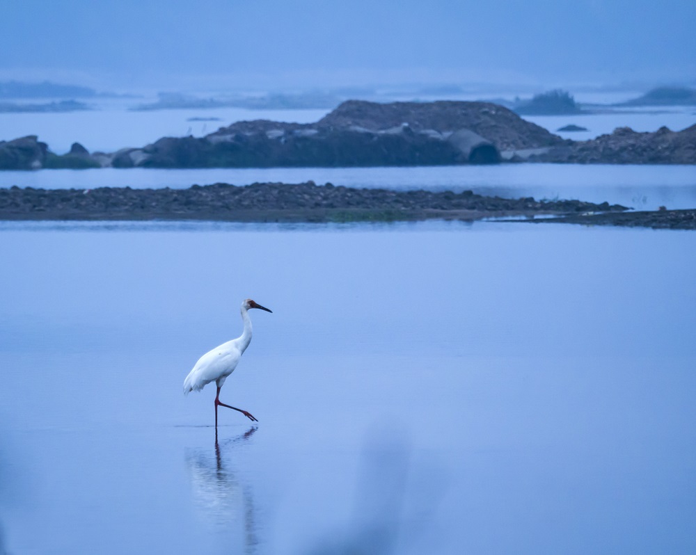 好博(中国)体育智能科技股份有限公司网站