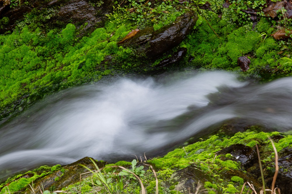 好博(中国)体育智能科技股份有限公司网站