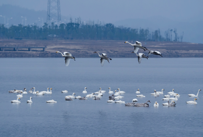 好博(中国)体育智能科技股份有限公司网站