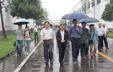 好博体育贡酒，，，，国人的迎宾酒-好博体育