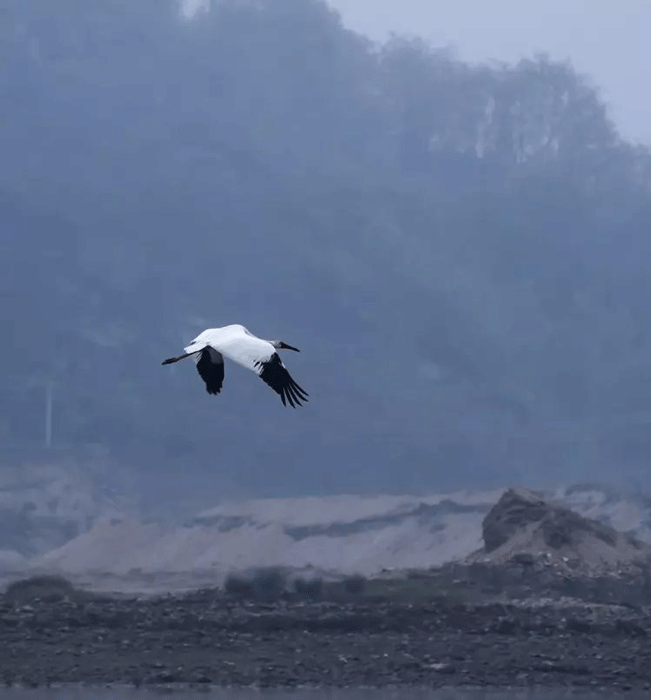 好博体育贡酒，，，，，，国人的迎宾酒-好博体育