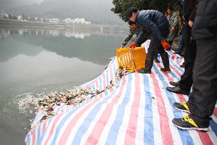好博体育贡酒，，，，，国人的迎宾酒-好博体育