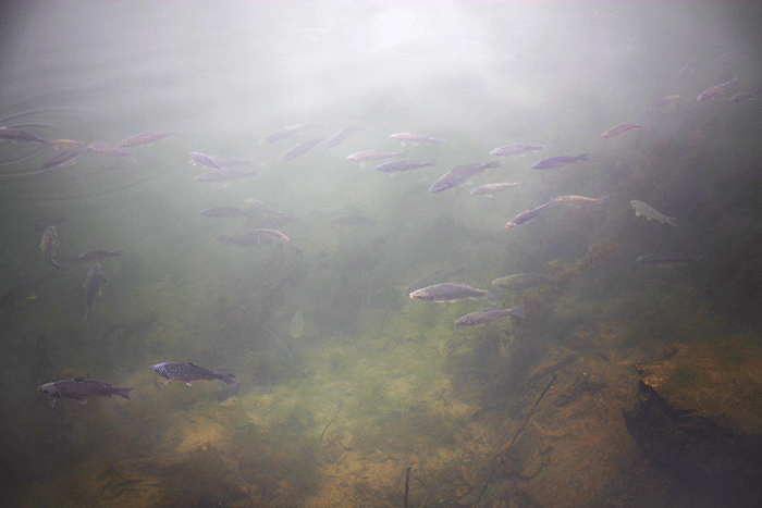 好博体育贡酒，，，，，国人的迎宾酒-好博体育