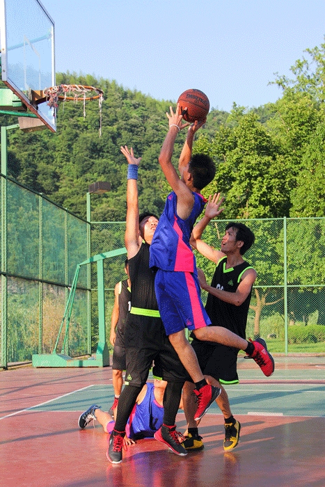 好博体育贡酒，，，，国人的迎宾酒-好博体育