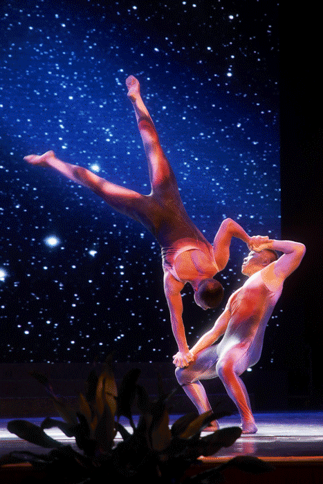 好博体育贡酒，，，国人的迎宾酒-好博体育