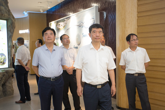 好博体育贡酒，，，，国人的迎宾酒-好博体育