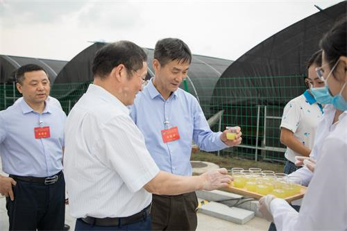好博体育贡酒，，，，国人的迎宾酒-好博体育