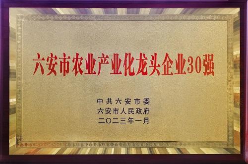 好博体育贡酒，，，国人的迎宾酒-好博体育