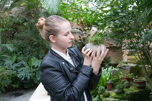 好博体育贡酒，，，国人的迎宾酒-好博体育
